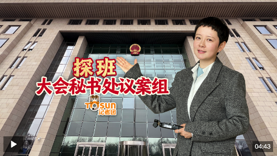 ʱVlog̽鴦鰸
